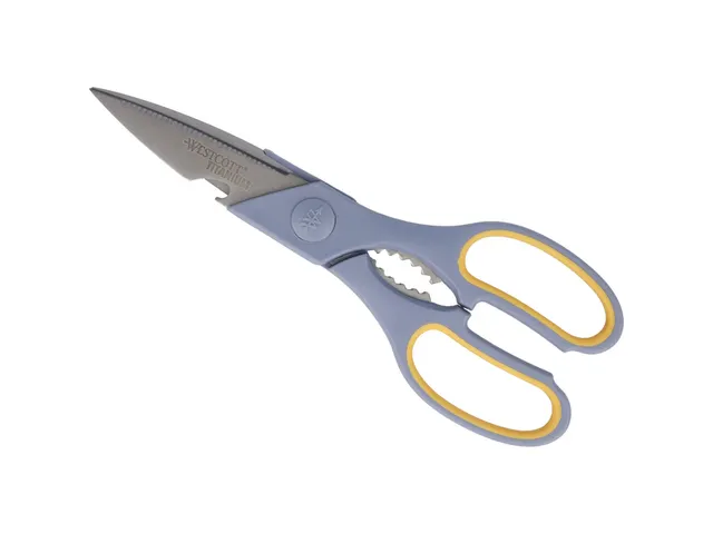 Huishoudschaar Westcott 210mm met softgrip titanium