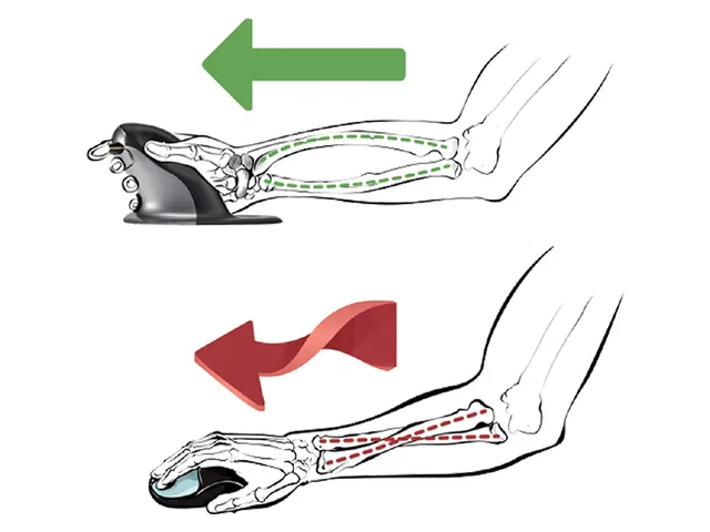 Ergonomische Muis Verticaal Fellowes Penguin Draadloos Large