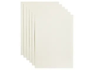 Kopieerpapier Papicolor A4 100gr 12 vel anjerwit - 1