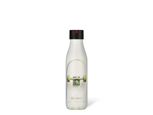 Thermosfles Les Artistes Paris 500ml Skater