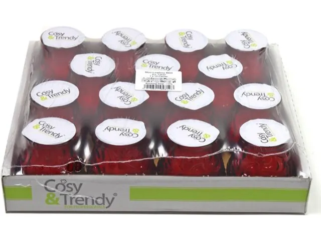 Cosy & Trendy Mini Lowboy Ø7,5 cm x 7,5 cm Rood Horeca kaars 15 stuks