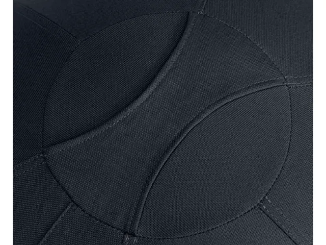 Leitz Ergo Actieve Zitbal anti-rol 65cm Donkergrijs