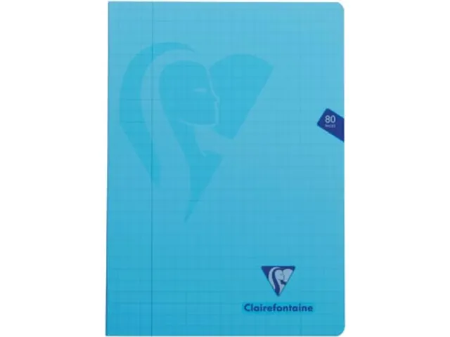 Schrift Pp A4 80Blz ruit 10mm Assorti