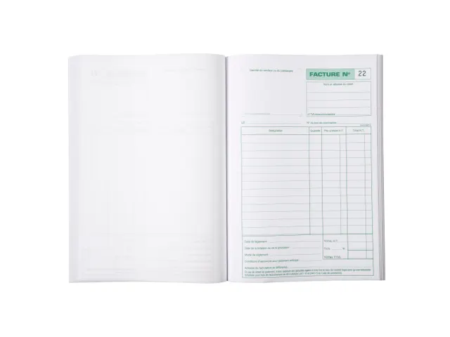 Manif Factuur/btw 21 x14,8 50bl dupli FR