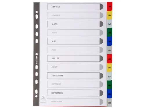 Bedrukte Tabbladen A4 12-delig Jan-dec 11-gaats Frans Assorti