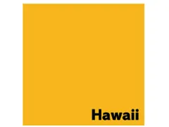 Offset papier Image Coloraction hawaï/goudgeel 80g 450x640mm FSC