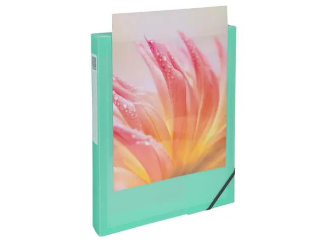 Boite de classement polypropylène Kreacover Pastel dos 40mm - A4 - Co