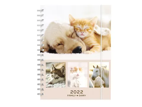 Agenda 2022 My Favorite Friends