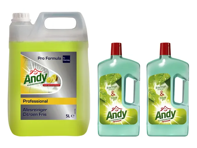 Allesreiniger Andy citroen fris 5 liter