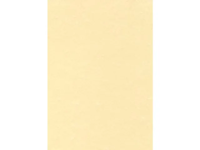 Decadry Structuurpapier Champagne A4