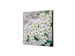 Wanddecoratie Textiel Set 40x40cm Witte Bloem Spirea