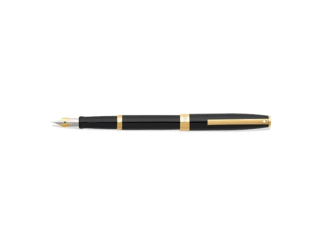 Stylo plume SHEAFFER Sagaris E9471 F Noir brillant ton or