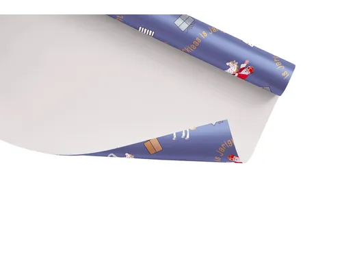 Haza Inpakpapier Sint en Co 200x70cm assorti