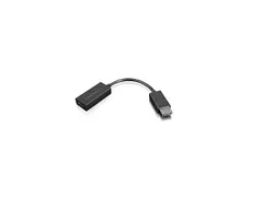 Lenovo 4X90R61023 0,225 m DisplayPort-HDMI Type A (Standaard)
