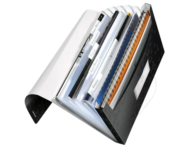 Trieur Leitz WOW 6 compartiments PP noir
