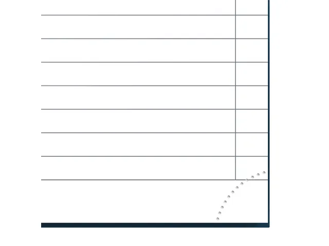 Livre relié Oxford Smart Black A4 ligné 96 feuilles