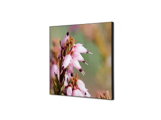 Wanddecoratie Textiel Set 40x40cm Roze Bloem Erica - 1