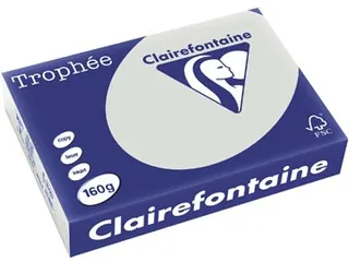 Trophée Pastel gekleurd papier A4 160 gram 250vel Lichtgrijs - 2