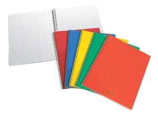 Schrift Aurora 80x135mm ruit 5x5mm 200 pagina's 60gr assorti - 1