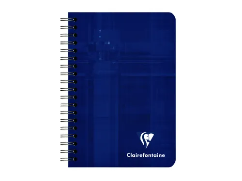 Notitieboek Clairefontaine A7+ 95x140 ruit 5x5 100blz 90gr assorti