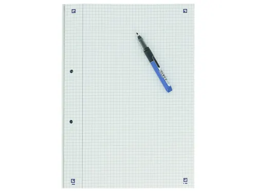 Cursusblok Oxford School A4 2-gaats ruit 5mm 100vel assorti