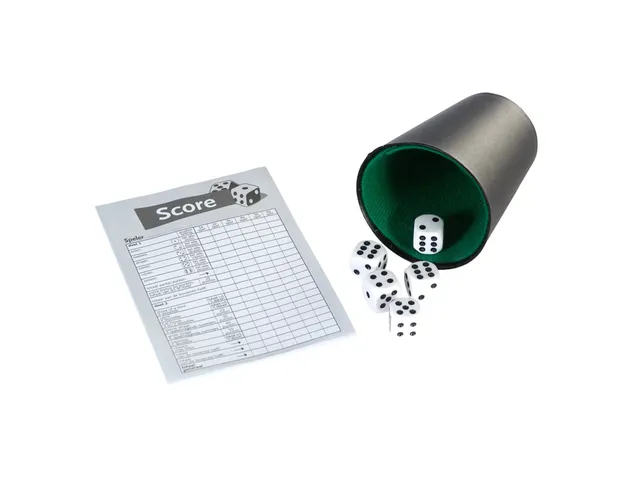 Clown Games Dobbelspel dobbelset met scoreblok 5+