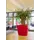 plantenpot,trapeziumvormig,PE,robijnrood,HxBxD 900x1000x1000mm,380l