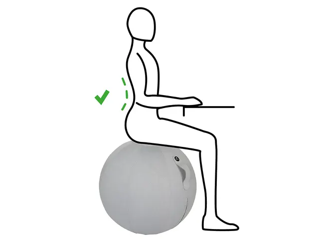 Ergoball ergonomische zitbal grijs Ø 65 cm.