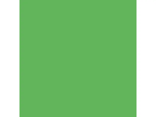 Inapa Tecno colors Gekleurd papier A4 Intens Groen 120 gram 250 vel