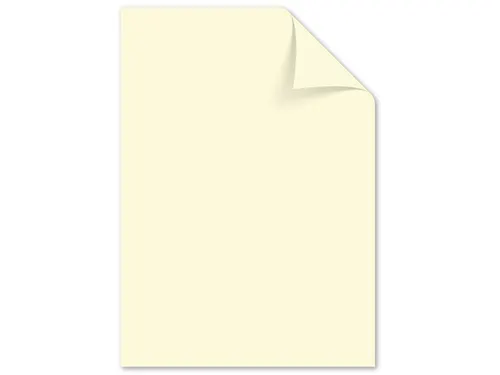 Papier Kangaro A4 80grs assorti pak 100 vel (10x10)