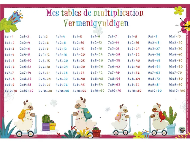 Sous-Mains Multiplications NL+FR42 x 30 cm