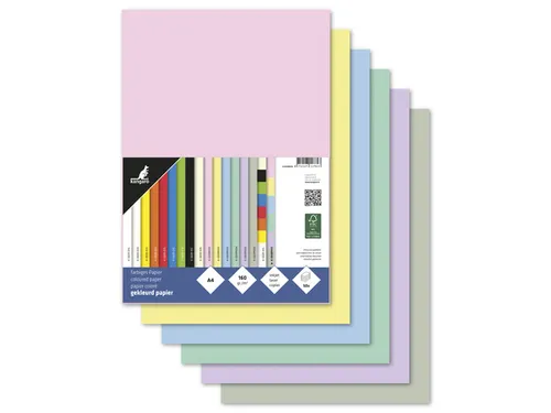 Papier Kangaro A4 160 grams pastel assorti pak a 50 vel