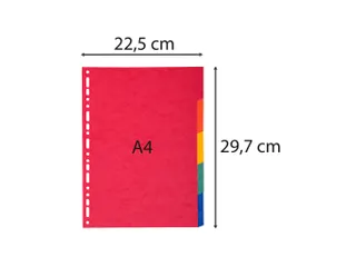 Tabbladen glanskarton 225g 5-delig A4 Assorti - 4