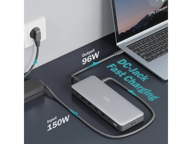 DIGITUS USB-C Docking Station 13 Poort Grijs