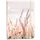 Notitieboek Be Still A5 lijn 92 pagina's softcover