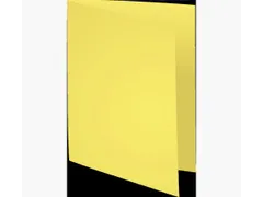 Vouwmap Exacompta Forever A4 170gr kanariegeel