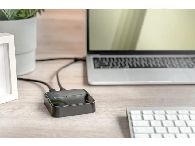 Dual M.2 NVMe SSD Docking Station met offline kloonfunctie USB-C