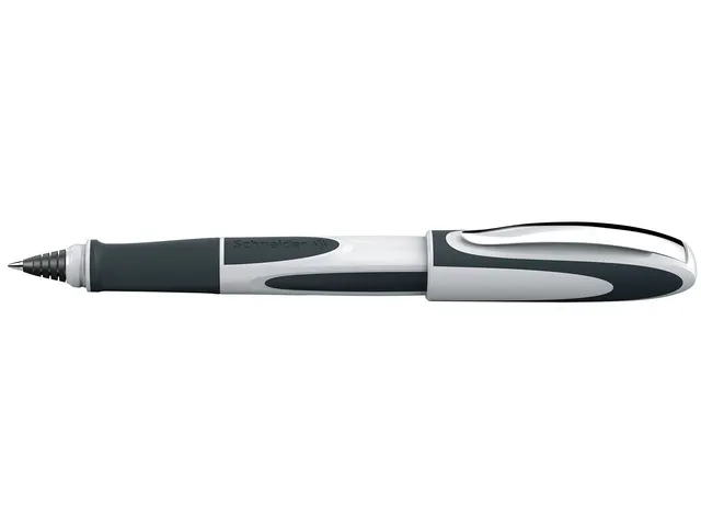 Roller Schneider Ray gris/blanc