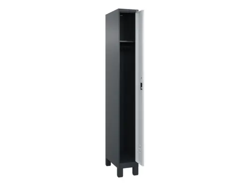 locker,HxBxD 1950x250x500mm,1vak,vak B 250mm,cil.-slot,voeten