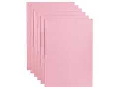 Kopieerpapier Papicolor A4 100gr 12 vel babyroze