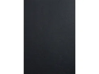 PK100 inbindkaft FOR EVER 270g A4 zwart - 2