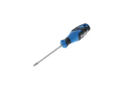 2163 Schroevendraaier TX T30 3C