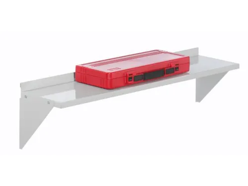 Stalen Legbord Voor Gesleufde Platen Lxd 950X220Mm Lichtgrijs