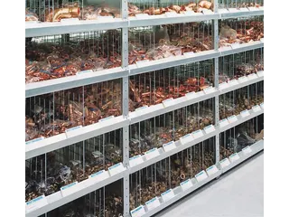 Inhaakstelling Basisveld 2500x1056x336mm 6legborden 230kg Verzinkt - 3