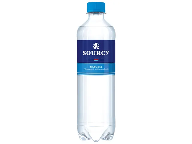 Water Sourcy blauw petfles 500ml