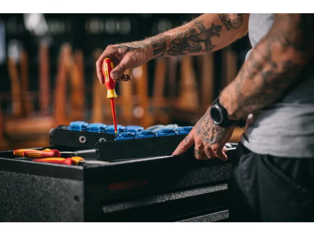 GEDORE RED R39200219 VDE schroevendraaier PH2 100mm