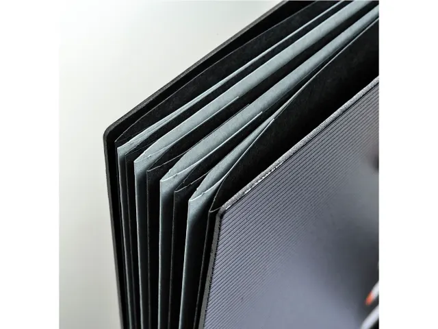 Sorteermap EXACTIVE Harmonika 9vak zwart