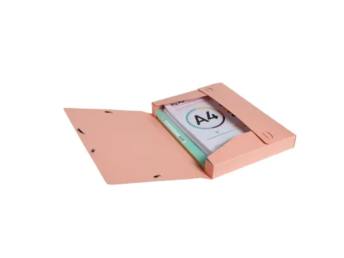 Cartobox A4 R40mm gl ansk. Aquarel geass