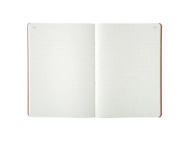 Register 29,7x21 cm - geruit 5x5 - genummerd - 80 blad assorti