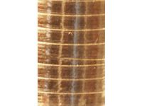 Polyband Haza 250mx5mm metallic goud